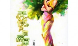 夜半天使,揭秘神秘降临的神秘使者