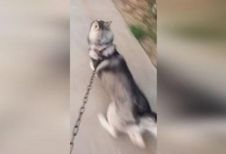 灵魂挽留,探寻生死轮回的神秘之旅