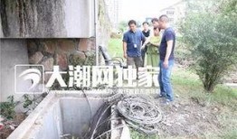 萍水相腐檐廊下,檐廊下的诗意邂逅