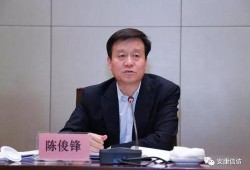 信访局长,为民解忧的守护者