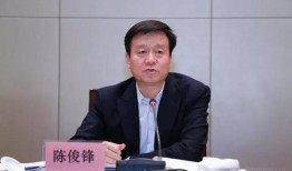 信访局长,为民解忧的守护者
