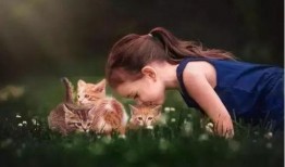 小乖宝偷听动物心声，带着妈咪成为大女主,妈咪逆袭成为大女主传奇