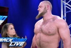 戴夫·查普尔：鸟的启示,从鸟的启示中领悟人生智慧