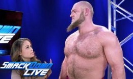 戴夫·查普尔：鸟的启示,从鸟的启示中领悟人生智慧