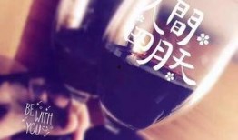 灵魂挽留,探寻生死轮回的神秘之旅