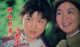 小花 1979,小花的故事与时代印记