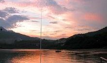 芳踪杳然,探寻消失的芬芳足迹