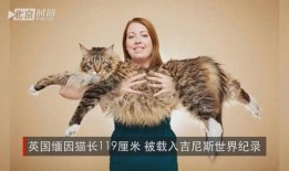 缅因姐妹,跨越时空的深情羁绊