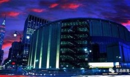 杀死托尼：麦迪逊广场花园的混乱,托尼之死引发的广场混乱纪实