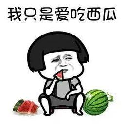 吃瓜为娱乐
